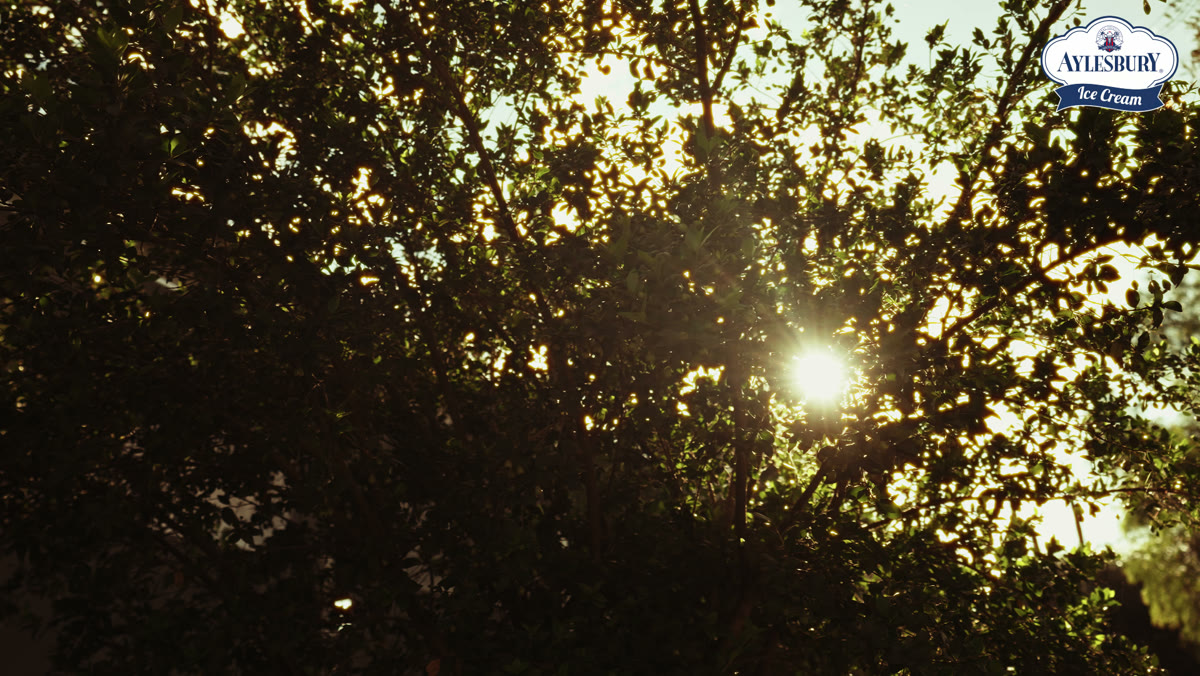 Aylesbury Picnic · Brown — Social Reels film by visionhaus, Namibia