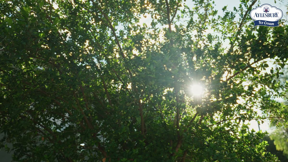 Aylesbury Picnic · Natural Colours — Social Reels film by visionhaus, Namibia